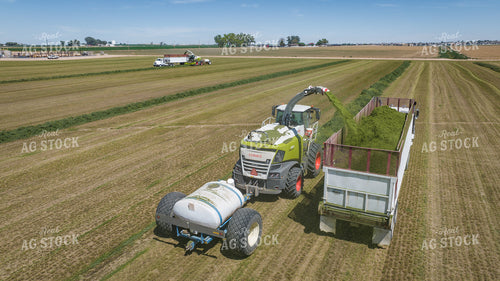 Forage Harvester Chopping Hay 56486