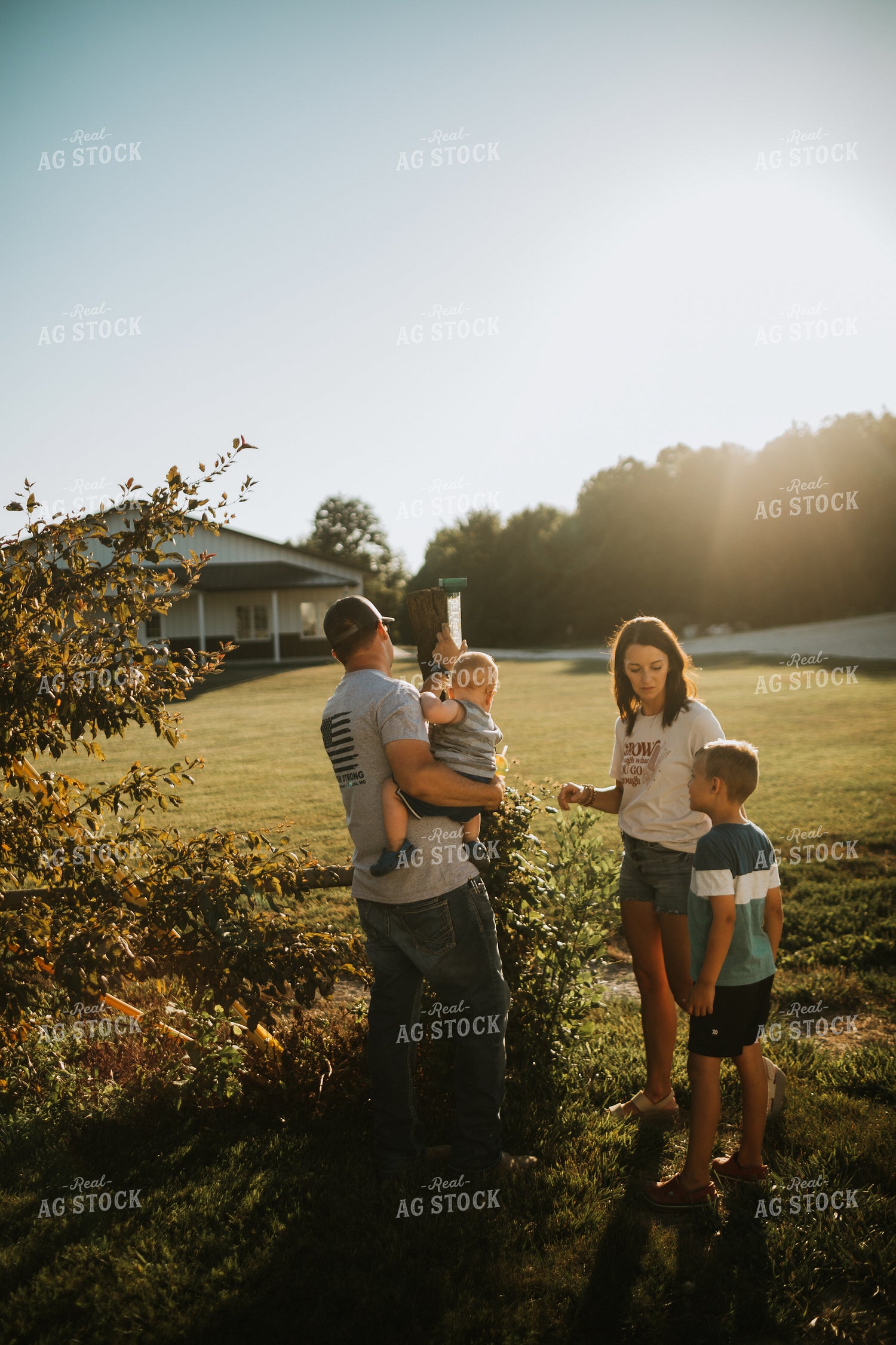 Farm Family Checking Rain Gauge 6260