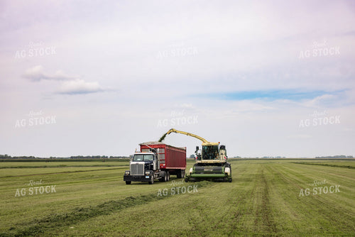 Harvesting Hay 152658