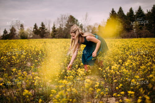 Farm Kids in Wildflower Field 169045