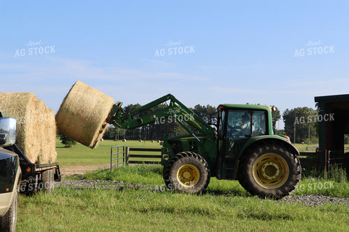 Loading Hay Bales onto Trailer 201016