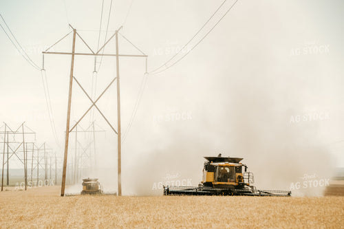 Combine Threshing Wheat 64089