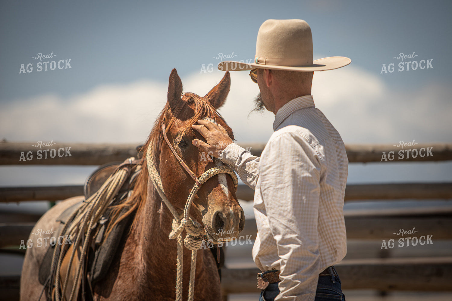 Training Colts 78249