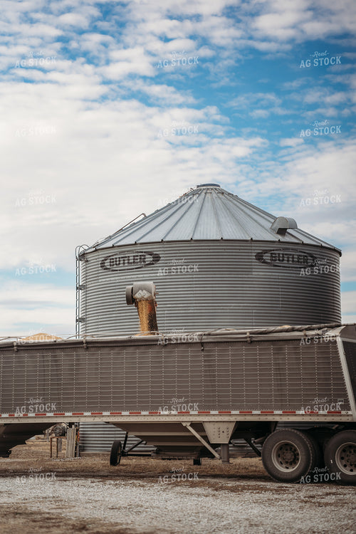 Loading Grain into Semi 196201