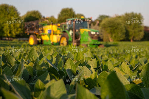 Spraying Soybean Field 157238