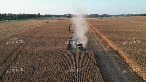 Aerial of Corn Harvest 149057