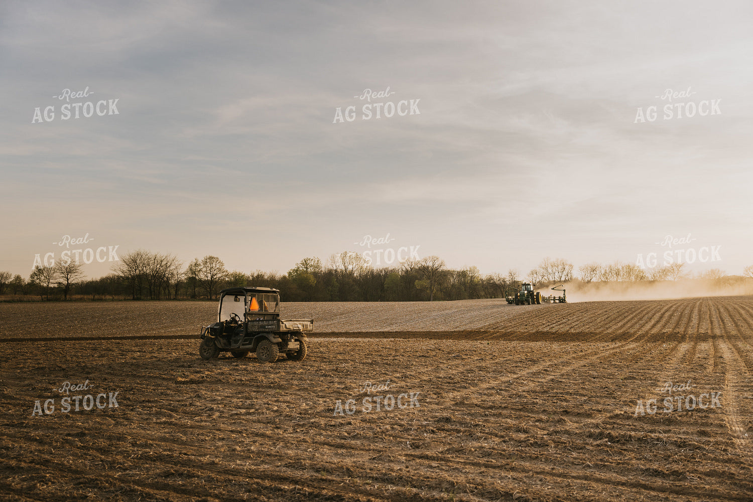 Planting a Field 7419