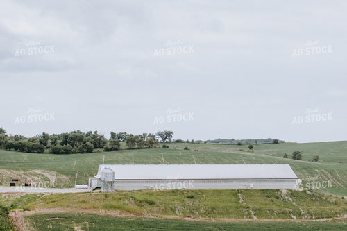 Swine Barn 77271