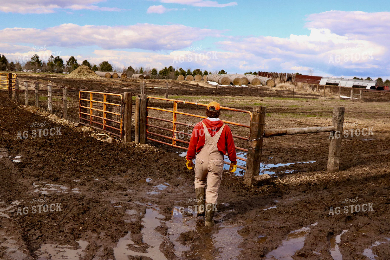 Farmer Walking in Mud 299257