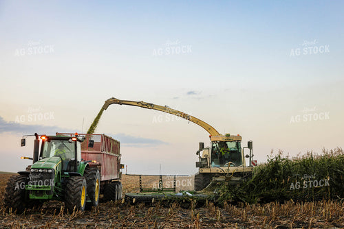Chopping Corn Silage 152556