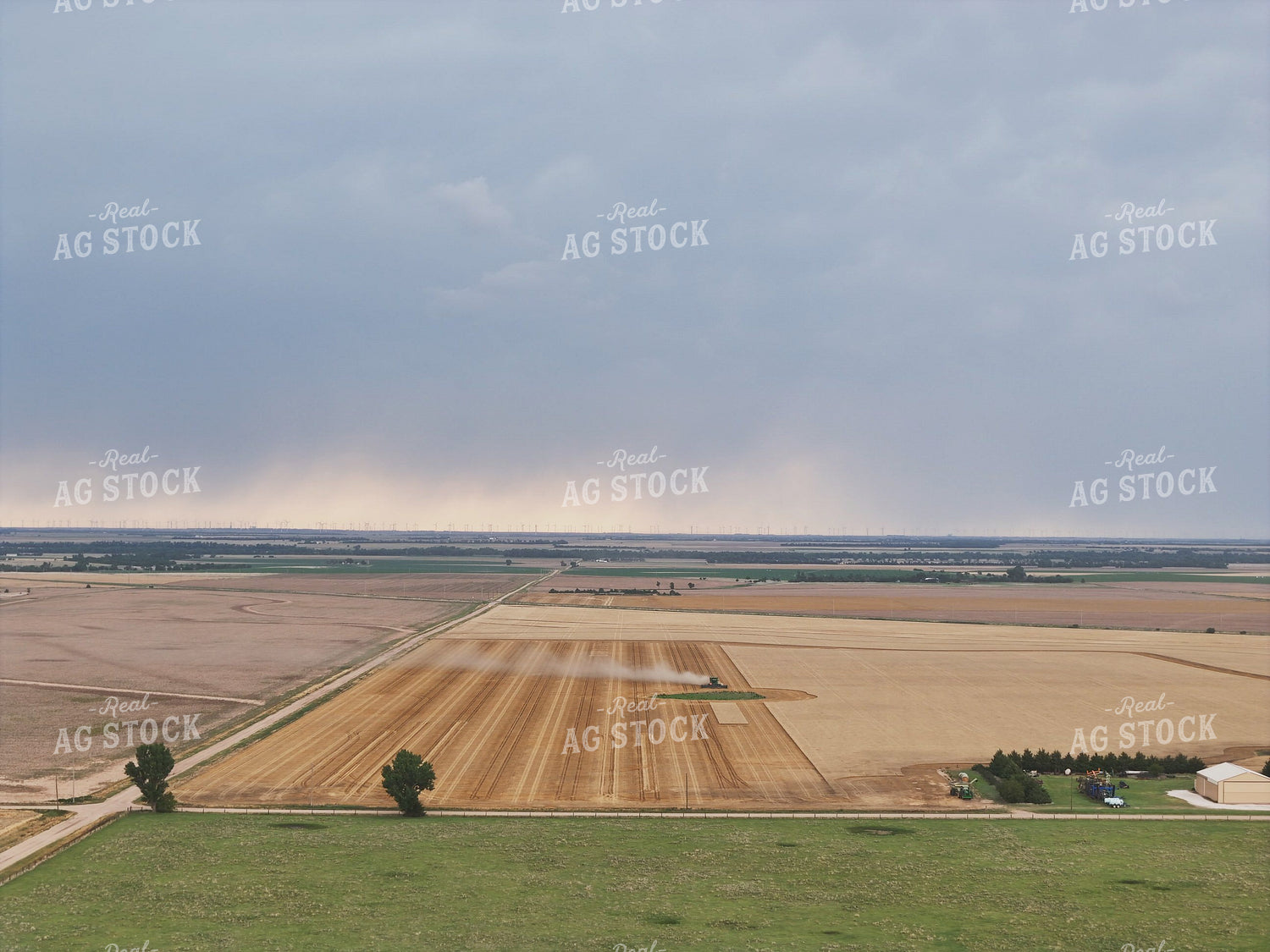 Aerial of Harvesting Wheat 239605