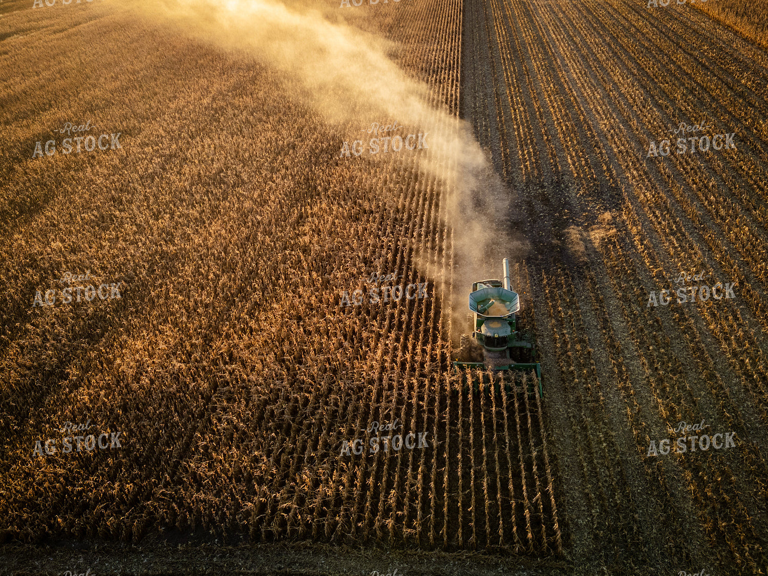 Aerial of Corn Harvest at Sunset 268231