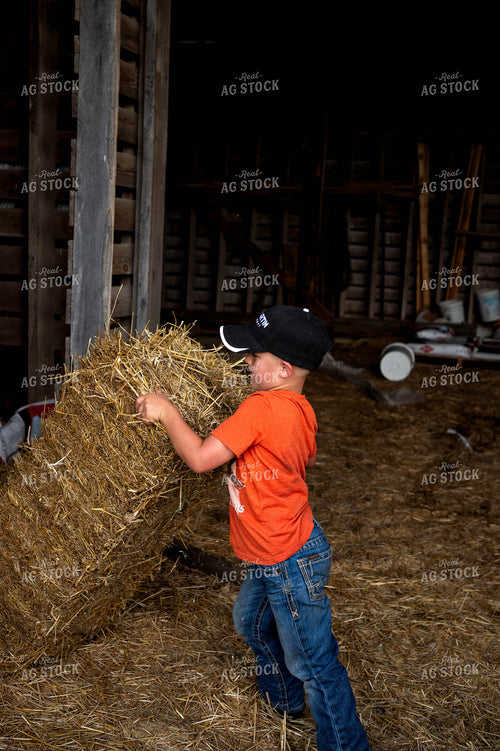 Farm Kid Moving Hay Bale 115822