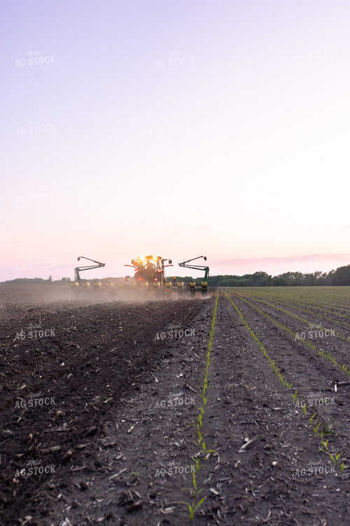 Planting 161176