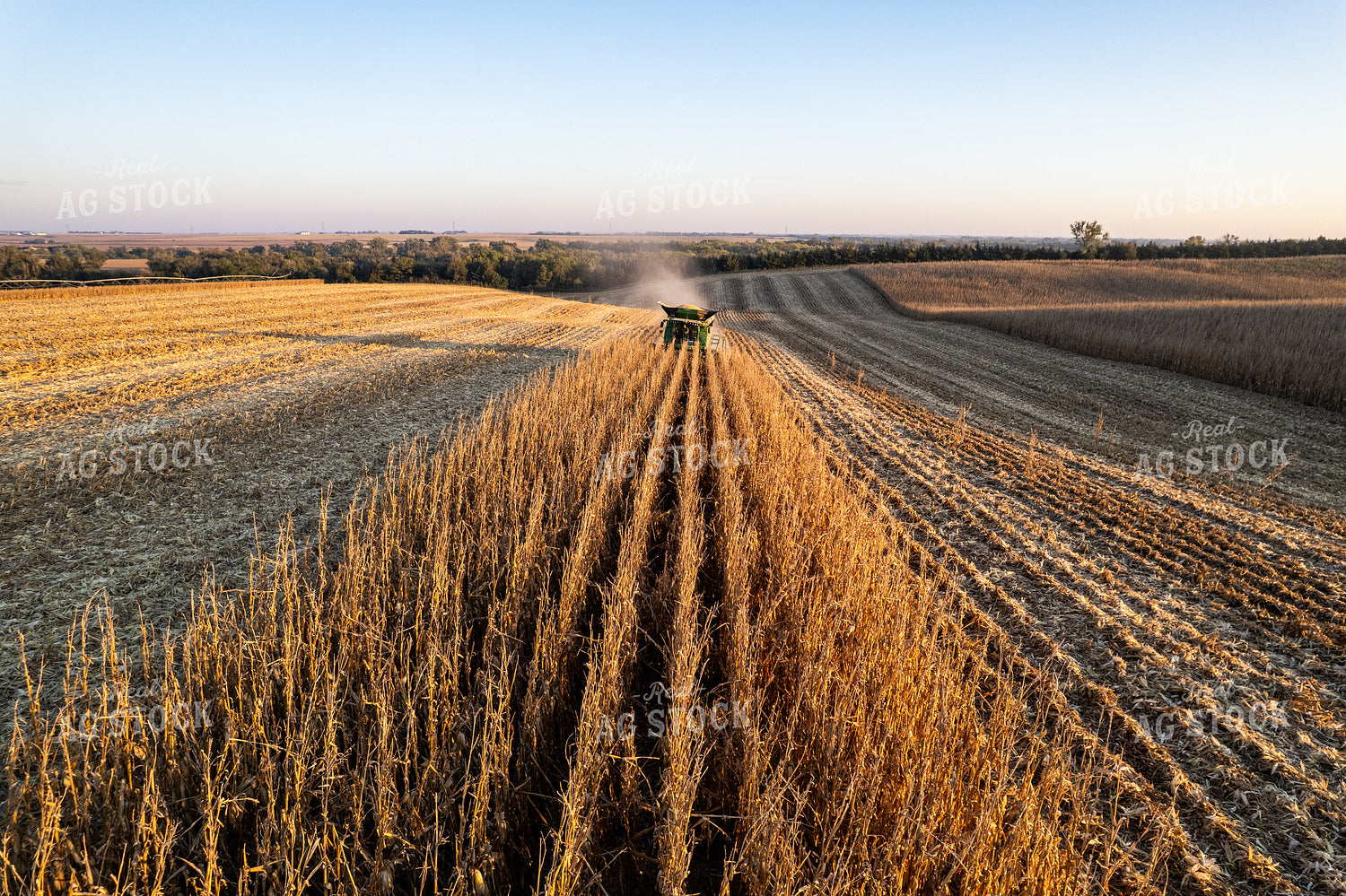 Aerial of Corn Harvest 65835