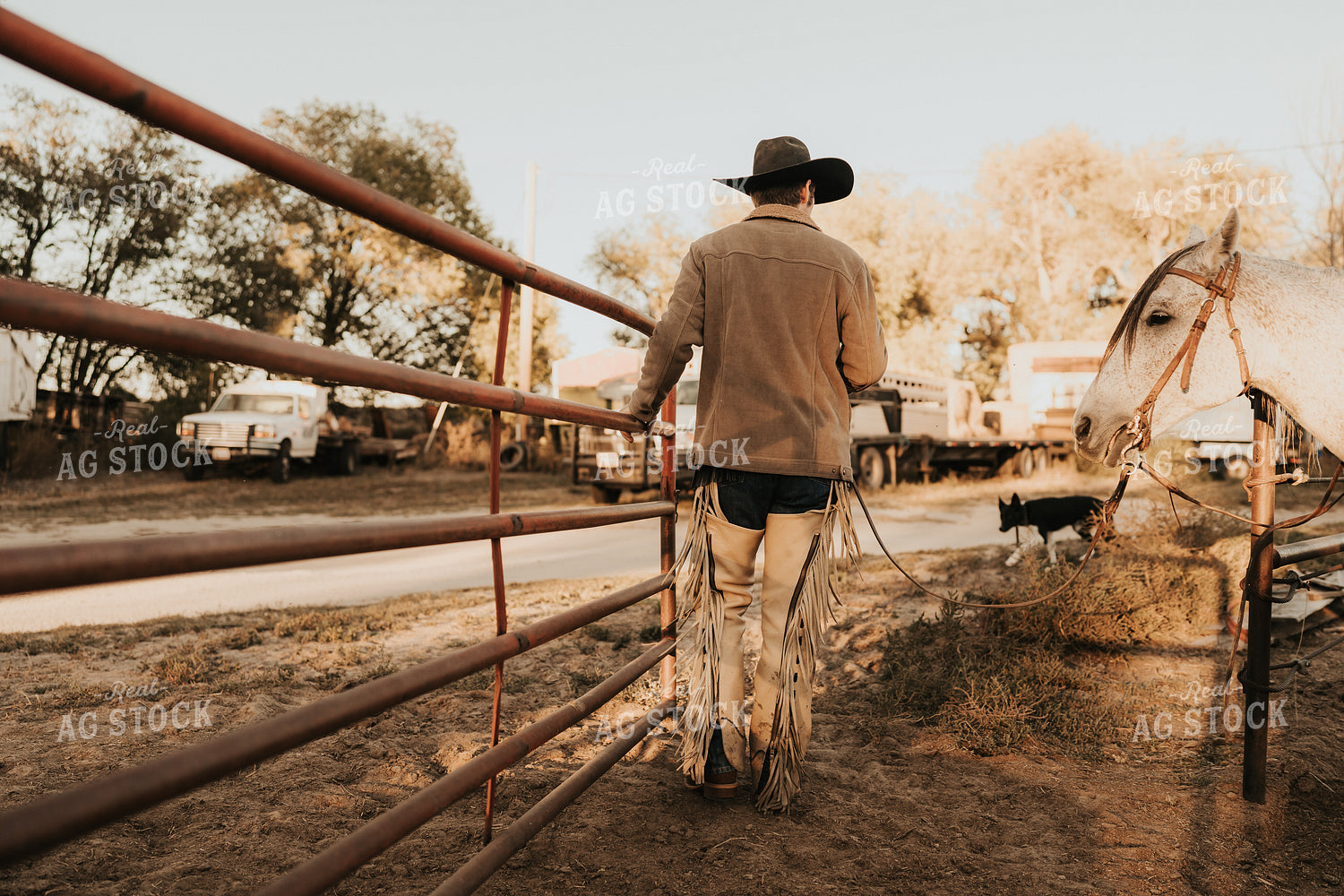 Cowboy Leading Horse 61177