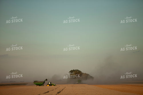 Wheat 2153