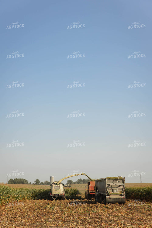 Storing Corn Silage 152534
