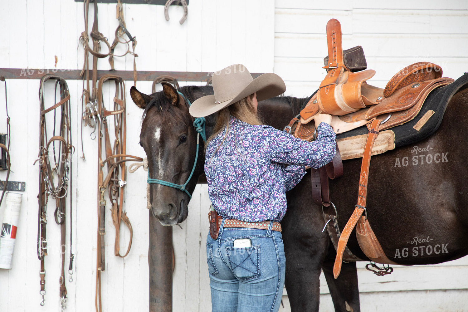Female Rancher Tacking Horse 117106