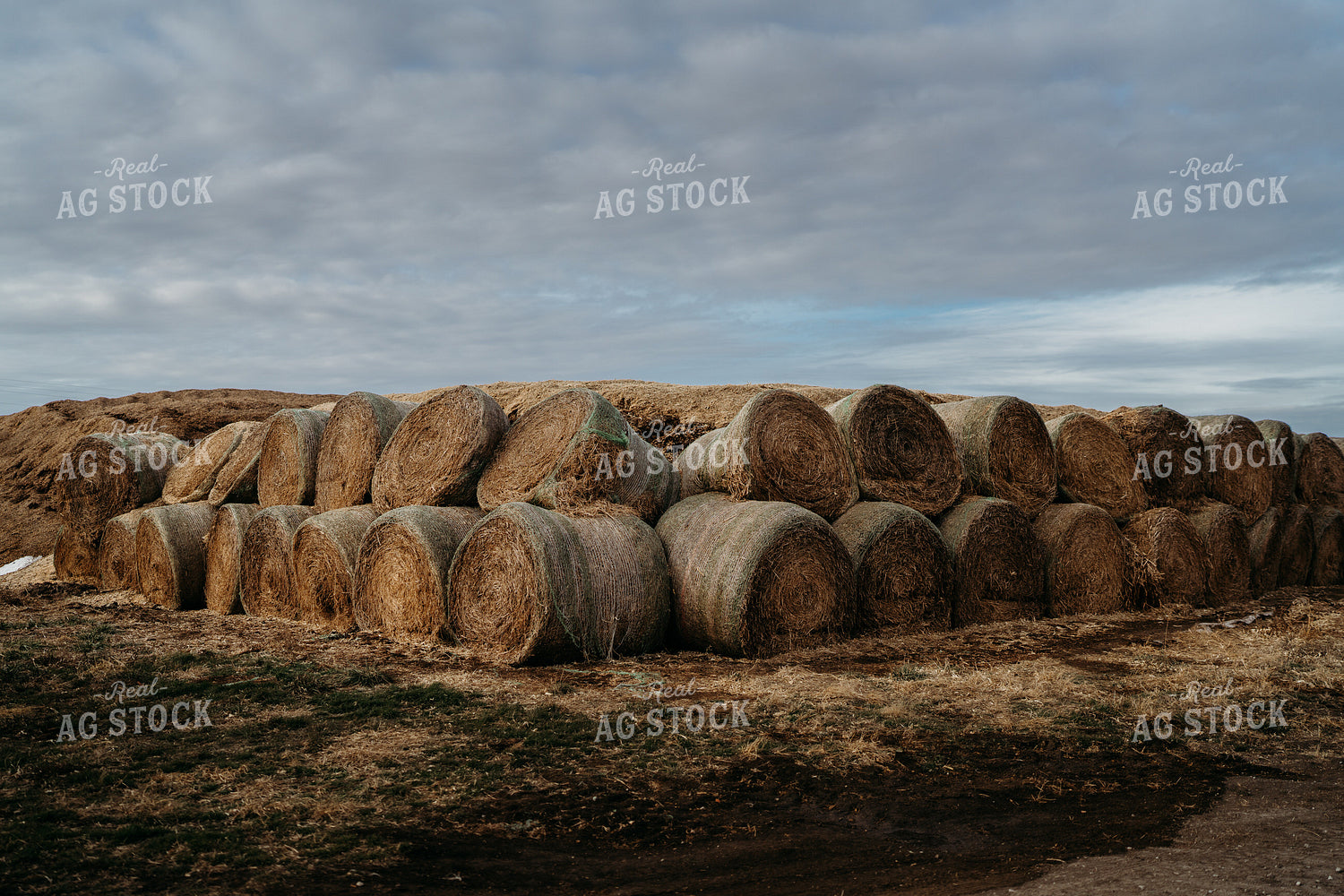 Uncovered Silage Pile 196189
