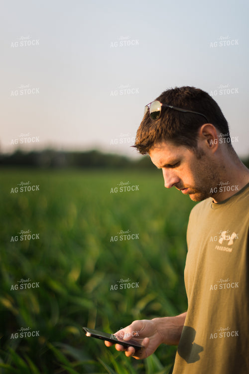Young Farmer Using Phone in Corn Field 8165