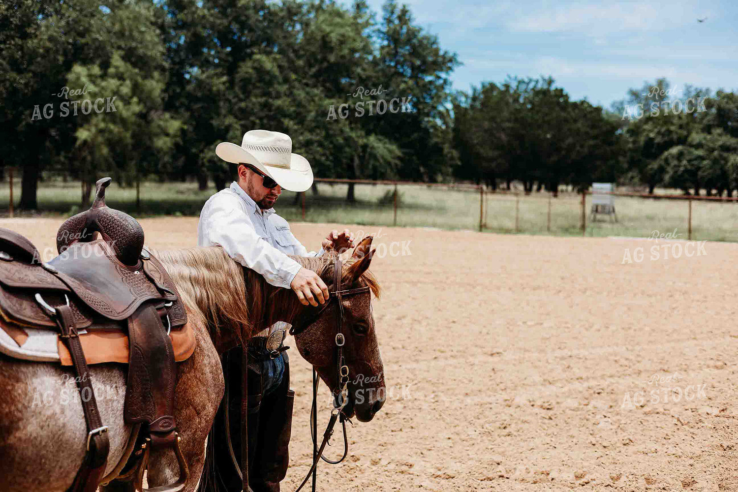 Cowboy and Horse in Arena 281079