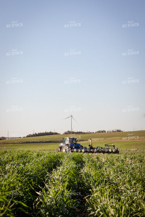Planting into Rye Cover Crop 268331