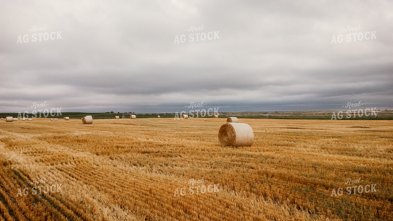 Round Bales 64166