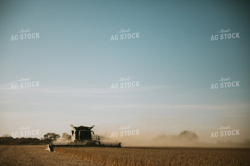 Soybean Harvest 7198