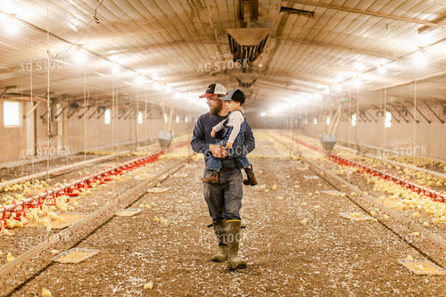 Farmer and Son in Chicken Barn 280000