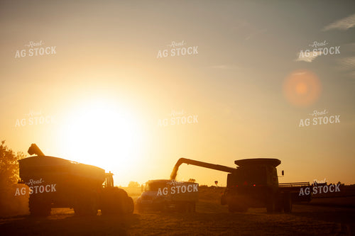Harvest 1822