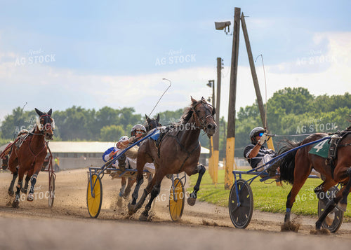 Horse Racing 160260