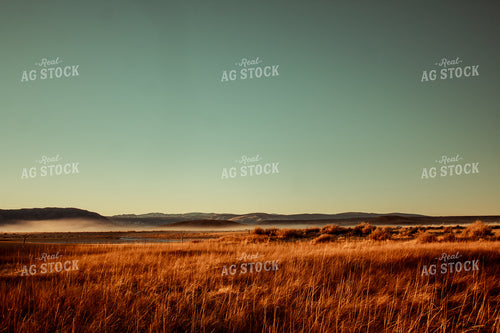 Western Pasture 58013
