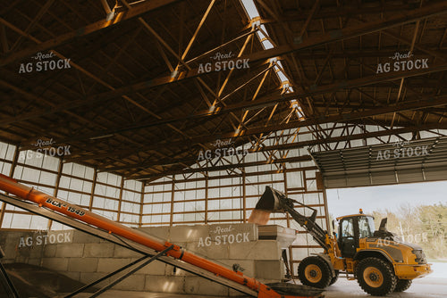 Tractor Loads Dry Feed in Storage Shed 7541