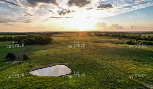 Aerial of Summer Pasture 261062