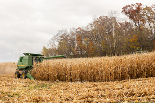 Corn Harvest 194080