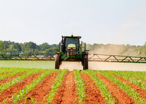 Sprayer in Corn Field 79009