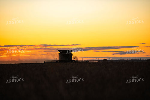 Soybean Harvest 136234