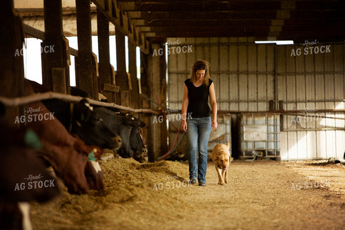 Dairy 2728