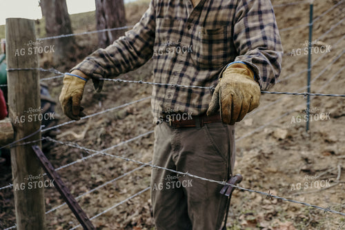 Putting Up Barbed Wire Fence 52282