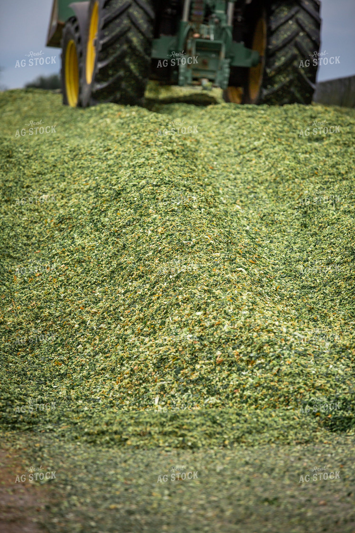 Storing Corn Silage 270609