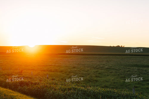 Sunset over Pasture 68215