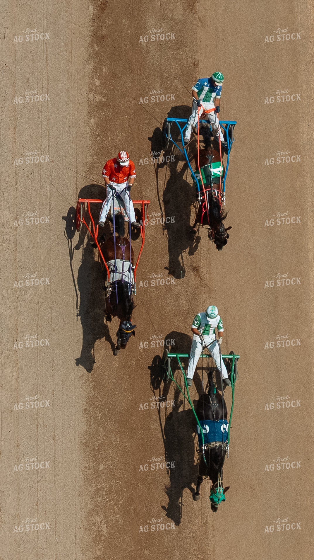 Harness Racing 295033