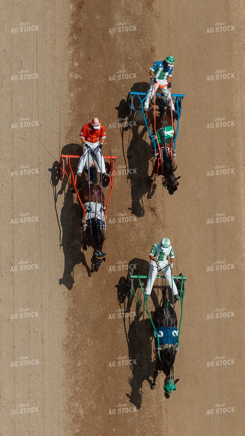 Harness Racing 295033