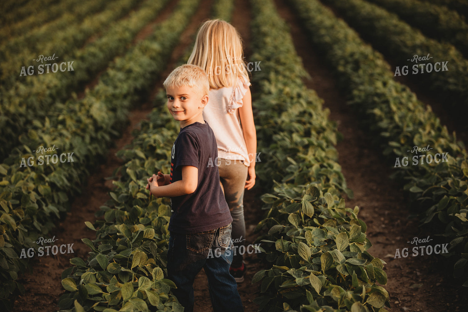 Farm Kids in Soybean Field 4562