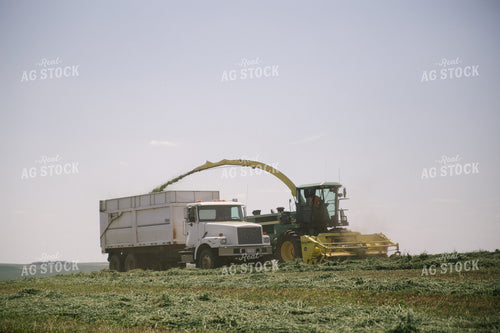 Harvesting Hay Silage 70060