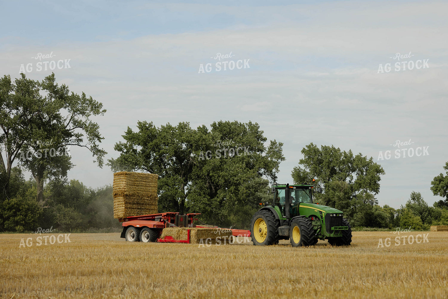 Loading Wheat Straw Bales 296065