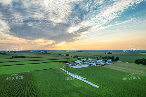 Aerial of Dairy Cattle Farm 261069