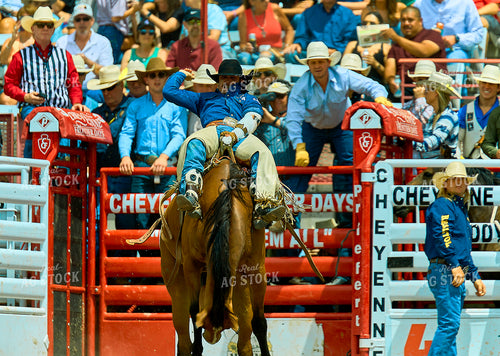 Saddle Bronc Riding 177009