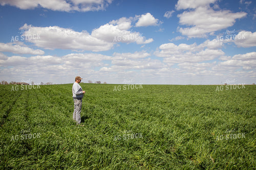 Walking through Cover Crops 67688